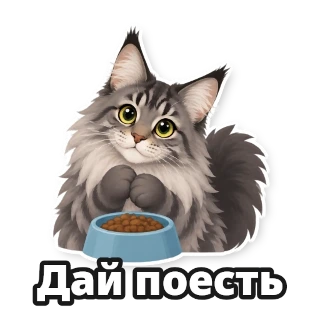 Готовый стикер 1 из набора про кота